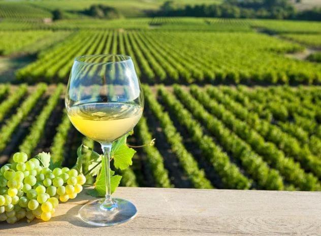 Dependance Chaleureuse Dans Le Vignoble Nantais Villa La Haie-Fouassiere Exteriör bild